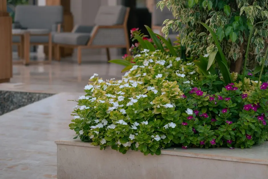 Greens & Outdoors at ANANT RAJ ASHOK ESTATE, Sector 63A, Gurgaon
