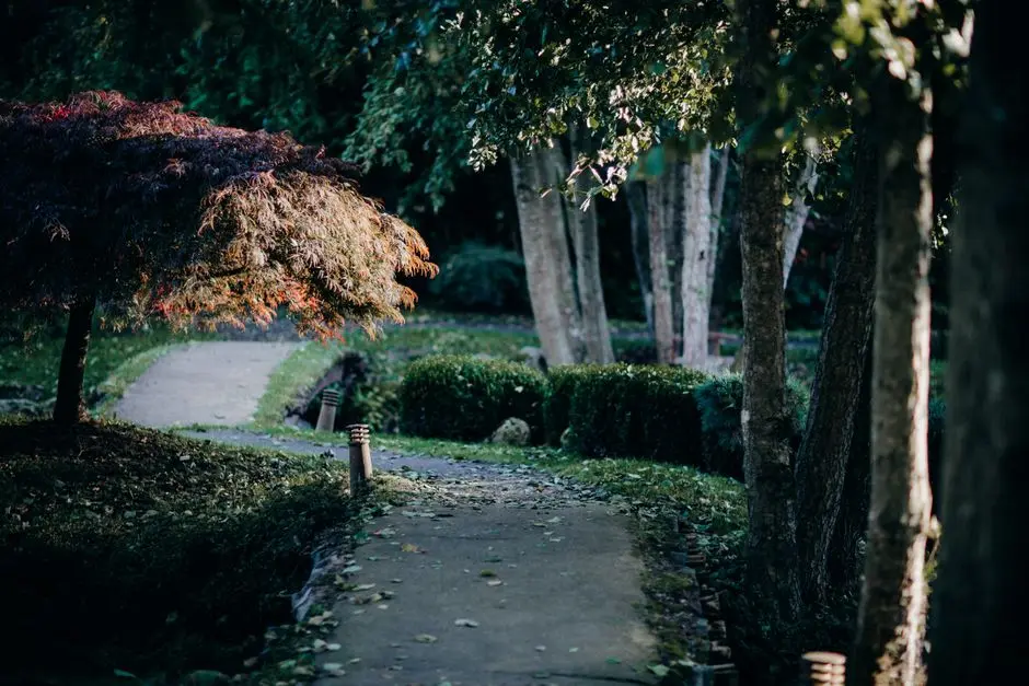 Greens & Outdoors at ANANT RAJ MANOR VILLAS, Sector 86, Gurgaon