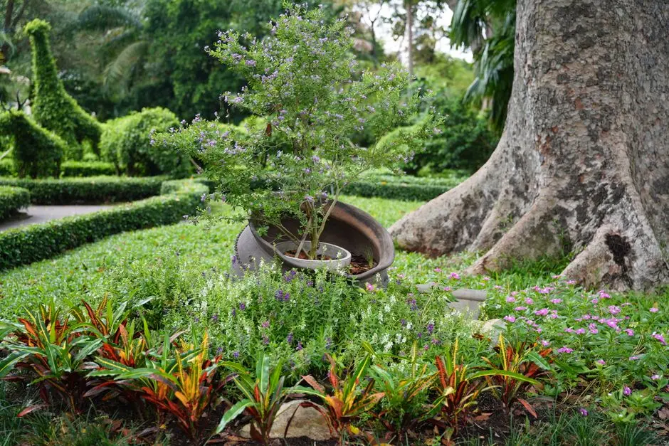 Greens & Outdoors at ANANT RAJ DESTINATION PROPERTIES GROUP HOUSING PROJECT, Gurgaon