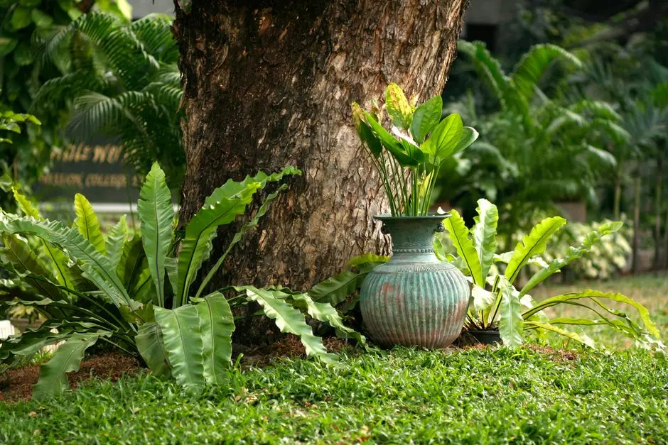 Greens & Outdoors at ANANT RAJ GROUP HOUSING 2, Sector 63A, Gurgaon