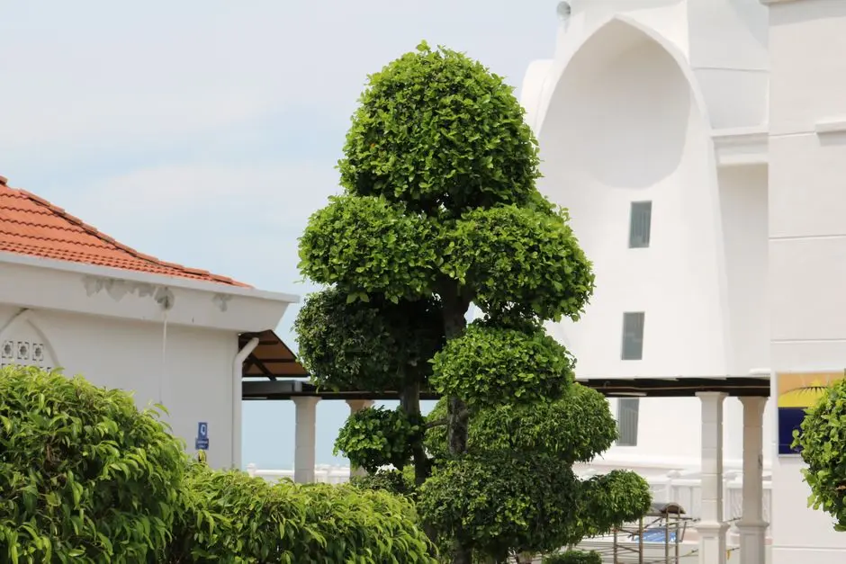 Greens & Outdoors at ANANT RAJ AASHRAY, Gurgaon